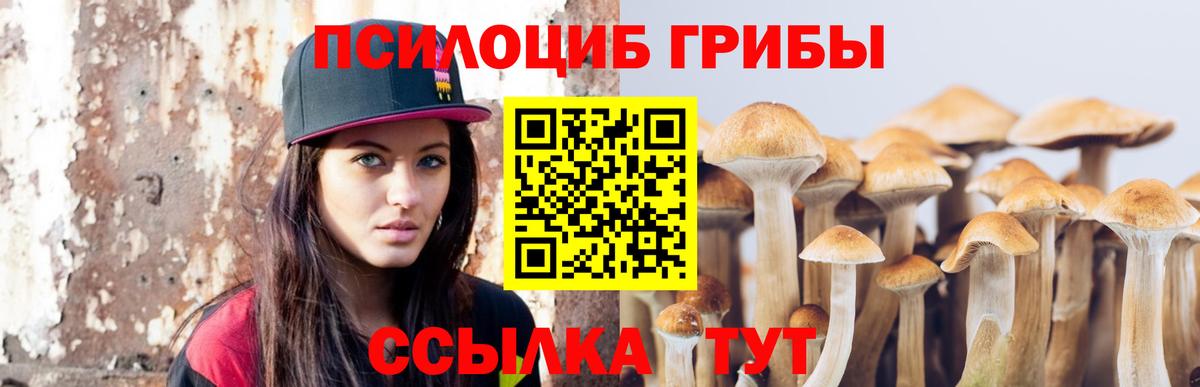 хочу наркоту  Псилоцибиновые грибы Psilocybe  Советский  Вход с VPN  Псилоцибиновые грибы GOLDEN TEACHER 